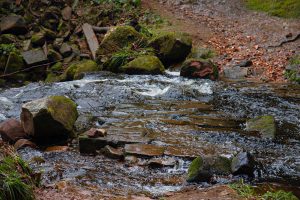 Eine Furt über den Sankenbach, die mittlerweile allerdings durch eine Brücke unmittelbar daneben ersetzt wurde, sodass man jetzt auch bei hohem Wasserstand trockenen Fußes den Fluss queren kann.